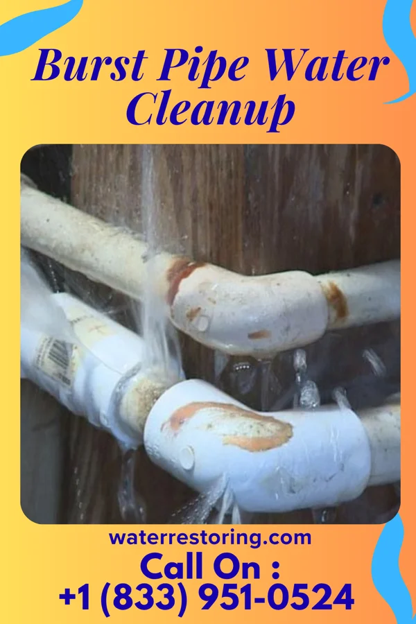 Burst Pipe Water Cleanup in Galien, MI