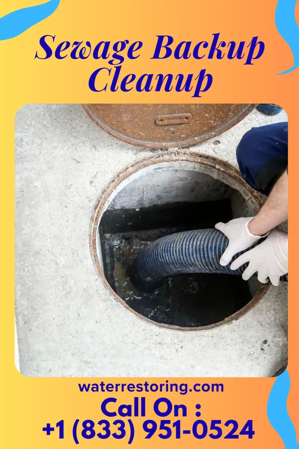 Sewage Backup Cleanup in Galien, MI