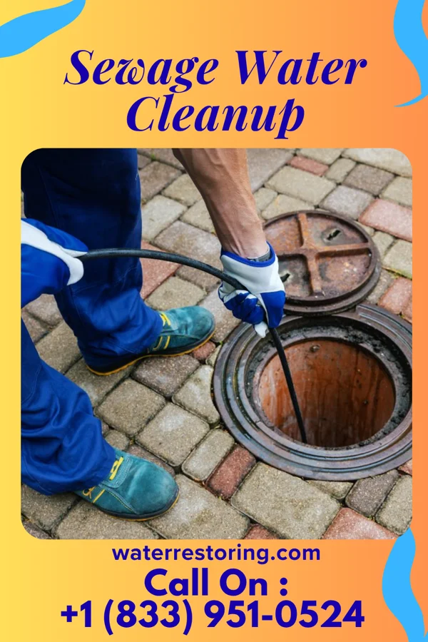 Sewage Water Cleanup in Galien, MI