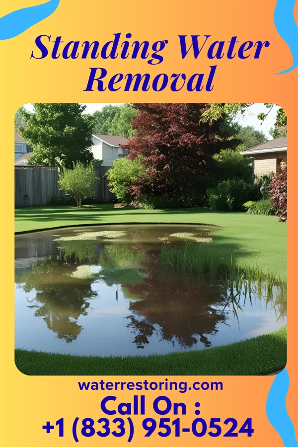 Standing Water Removal in Galien, MI